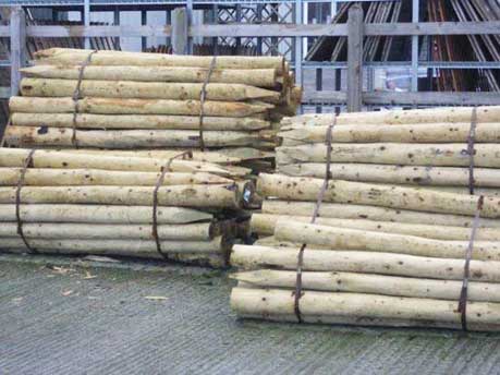Heavy Stakes 5ft