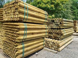 5ft Pencil Posts