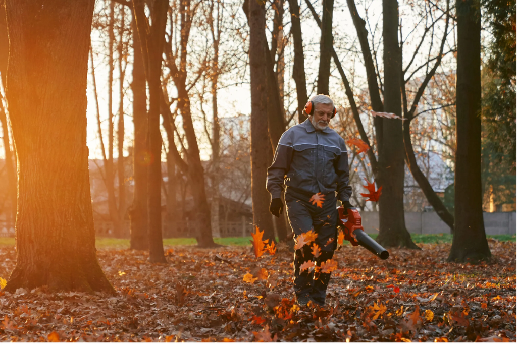 ‘Leaf’ It to Us! Your Guide To Managing Autumn Leaves