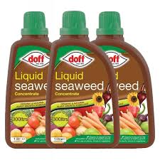 Doff Liquid Seaweed Concentrate 1l