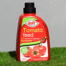 Doff Tomato Feed Concentrate 1L