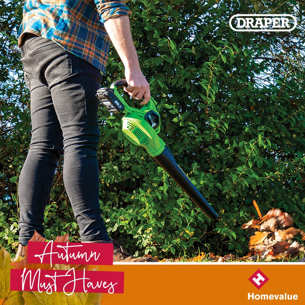 D20 Cordless Leaf Blower