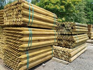 6ft Pencil Posts