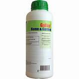 Gallup Home & Garden 1L