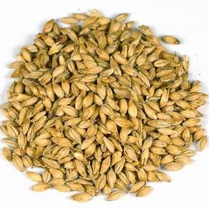 Bolger's Whole Barley 25kg